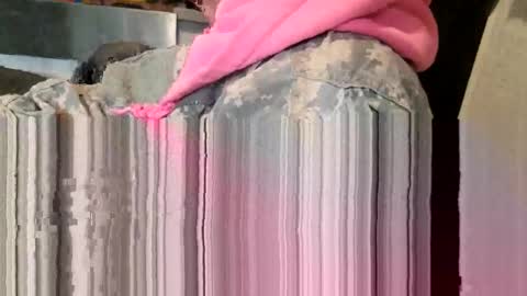 Snapshot of brushsquach chatting on March 11, 8:59 pm Steve... aka SkinnieDippin aka TimberTramp online show from March 11, 8:59 pm