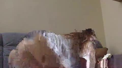 brutecia online show from September 16, 6:42 pm