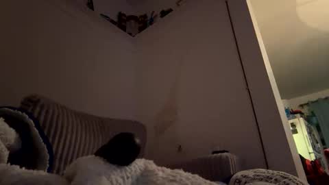 Snapshot of bubblya chatting on February 20, 6:19 am bubblya online show from February 20, 6:19 am