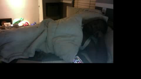 Bungalow Entertainment online show from December 17, 11:16 am