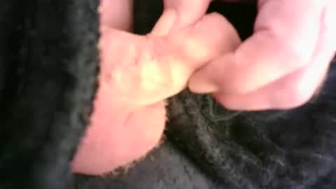 Snapshot of burnside13 chatting on November 23, 12:32 am Hamish online show from November 23, 12:32 am