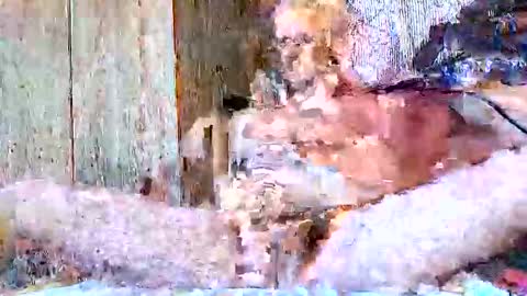 Snapshot of burnzart chatting on September 22, 8:33 pm burnzart online show from September 22, 8:33 pm