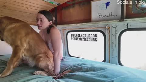 busbuddies online show from December 13, 4:49 pm