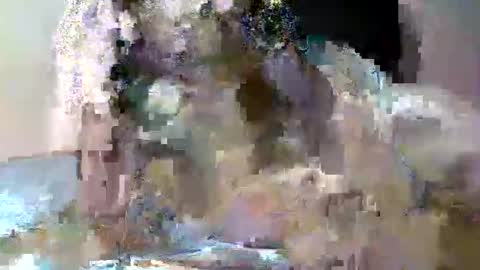 Snapshot of butler_yung chatting on May 12, 9:12 pm butler_yung online show from May 12, 9:12 pm