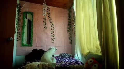 paula online show from March 25, 9:54 pm