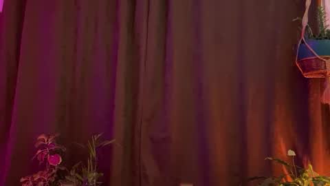  Camille   online show from March 31, 1:07 am