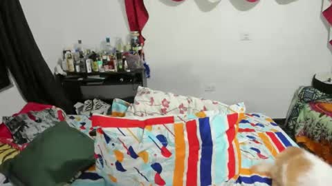 candlex  online show from February 10, 3:35 am