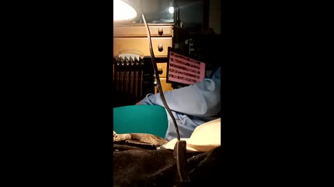 Snapshot of caryb chatting on February 24, 8:56 am caryb online show from February 24, 8:56 am