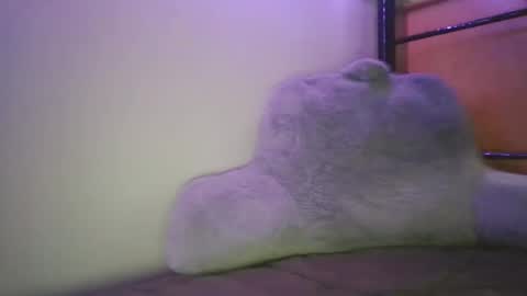 Casey Joe online show from February 5, 3:00 am