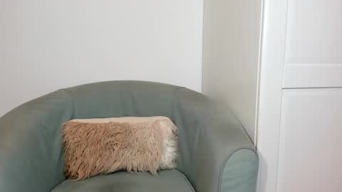 cassiecute - onlyfans account online show from March 26, 8:47 pm