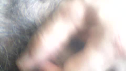 Snapshot of castells chatting on June 24, 2:38 pm castells online show from June 24, 2:38 pm