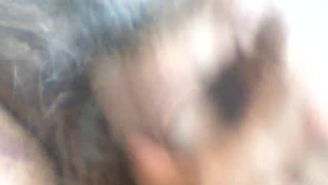 Snapshot of castells chatting on June 26, 3:49 pm castells online show from June 26, 3:49 pm