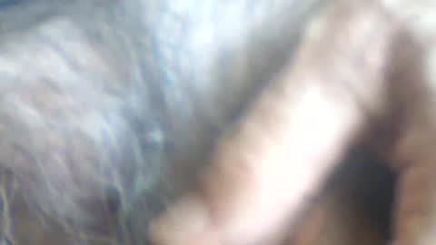 Snapshot of castells chatting on July 2, 2:56 pm castells online show from July 2, 2:56 pm