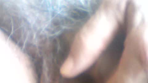 Snapshot of castells chatting on July 7, 2:43 pm castells online show from July 7, 2:43 pm