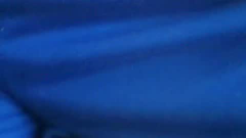 Snapshot of castells chatting on July 29, 3:21 pm castells online show from July 29, 3:21 pm