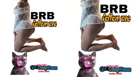 catta cat18 online show from February 23, 11:04 pm