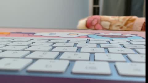 Snapshot of cbz112233 chatting on February 16, 6:04 pm ANNYANNY online show from February 16, 6:04 pm