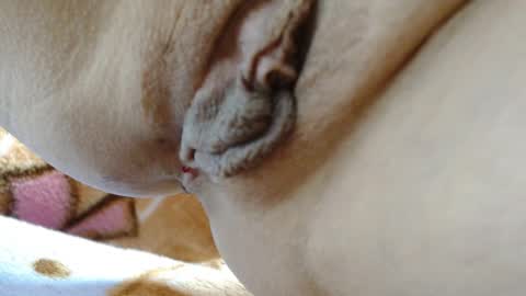 Snapshot of cbz112233 chatting on March 4, 3:40 pm ANNYANNY online show from March 4, 3:40 pm