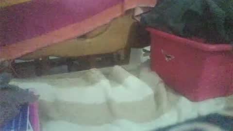 changoleonzote online show from November 20, 6:57 am