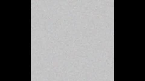 Charlotte online show from February 4, 3:18 pm