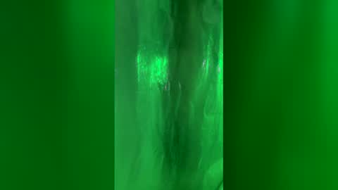 Chase2Attract online show from March 24, 2:44 pm