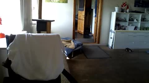 chefben666 online show from April 11, 9:24 am