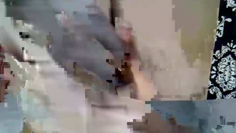 Keve Meddy online show from February 23, 6:38 pm