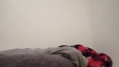 ChemicalX  online show from February 4, 11:31 pm