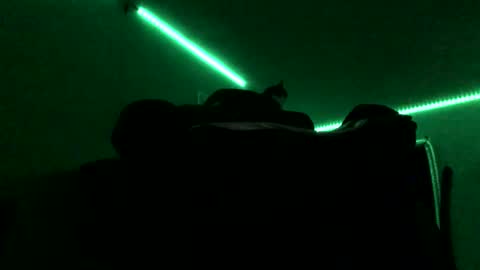 chenovich online show from November 16, 9:04 am