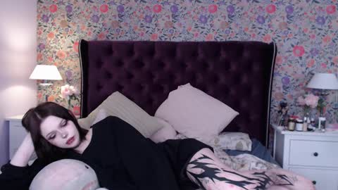 amelia online show from December 14, 12:12 pm