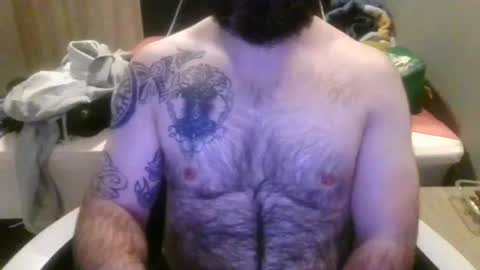 chub bear 99 online show from June 18, 1:17 am