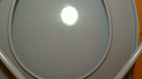 Snapshot of chuck5566 chatting on April 4, 4:55 am chuck5566 online show from April 4, 4:55 am