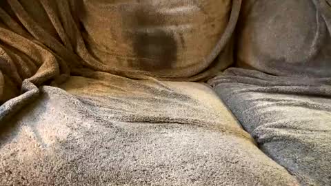 join the circle online show from December 2, 5:15 pm