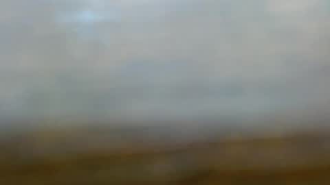 clidefrog555237928 online show from May 10, 9:31 pm