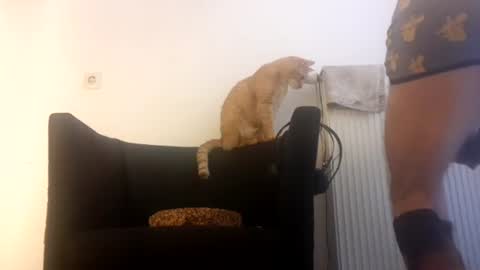 cockholder420 online show from November 23, 9:09 am