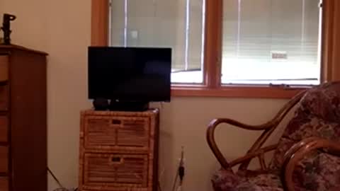 Code By Nova online show from November 8, 7:56 pm