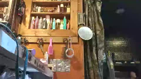 cody14213827 online show from June 1, 9:49 pm