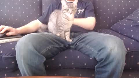 copper_crotch online show from February 14, 10:28 pm