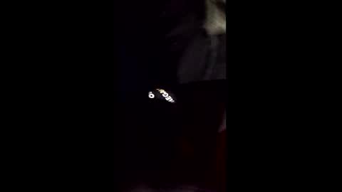 cory58596 online show from February 14, 8:33 am