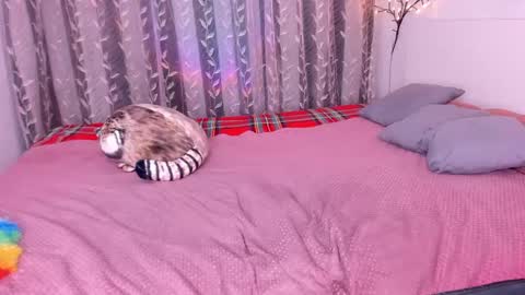 Alice online show from March 1, 11:58 pm