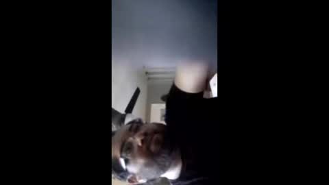 Snapshot of crazychubbyguy69 chatting on February 12, 10:43 am crazychubbyguy69 online show from February 12, 10:43 am