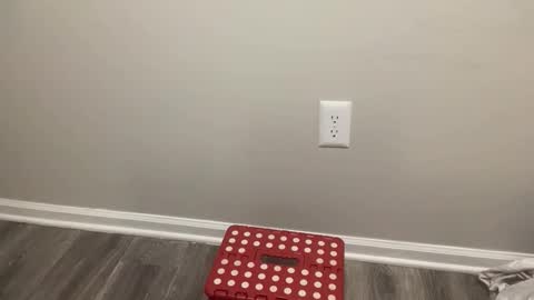 BlacTrojan OF online show from February 4, 8:47 pm