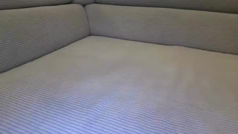 cuckold_2006 online show from April 6, 10:11 pm