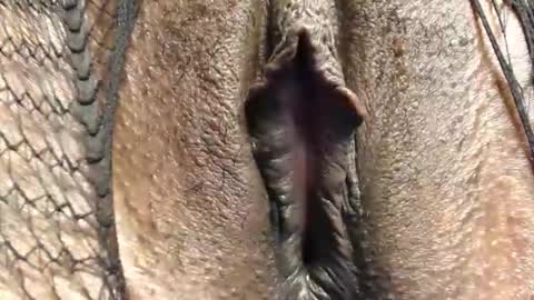 Nambuusi Irene online show from February 16, 9:00 pm