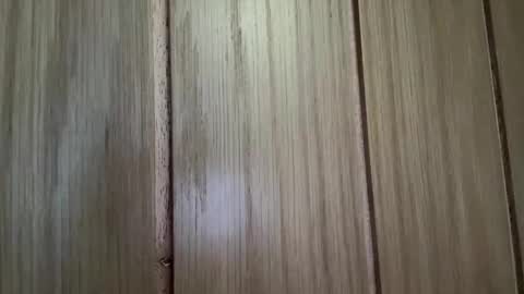 cum_nicky online show from April 23, 10:25 am