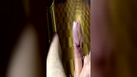 curicat69 online show from June 21, 8:28 am