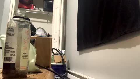 cutealisandra online show from February 3, 3:04 am