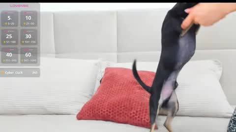 Eva online show from April 18, 7:07 pm