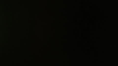 DAKOTA online show from January 8, 1:46 pm