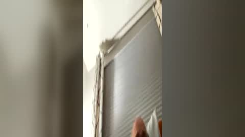 daddyweis online show from June 15, 2:14 am
